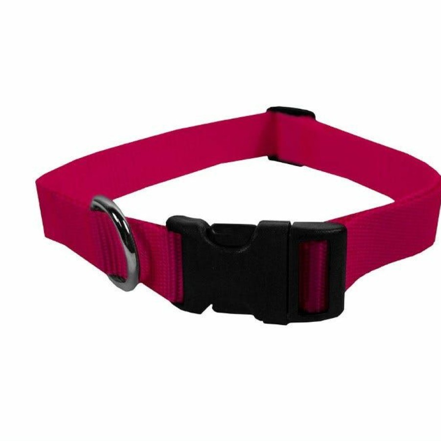 Dogs * | Scott Pet Adjustable Collar 1428Sfxl Dog Collars & Leashes