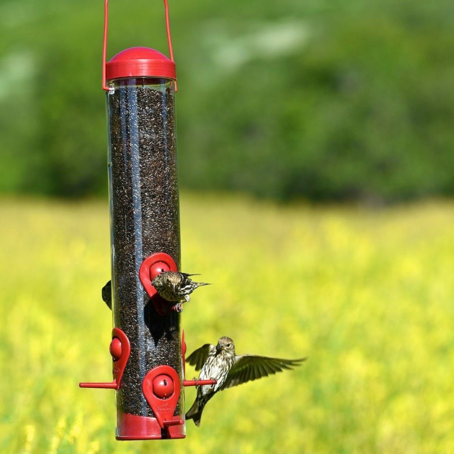 Backyard Birds & Wildlife * | Perky Pet Wild Bird Red Sierra Seed Feeder 1.8Lb 80330335 Wild Bird Feeders