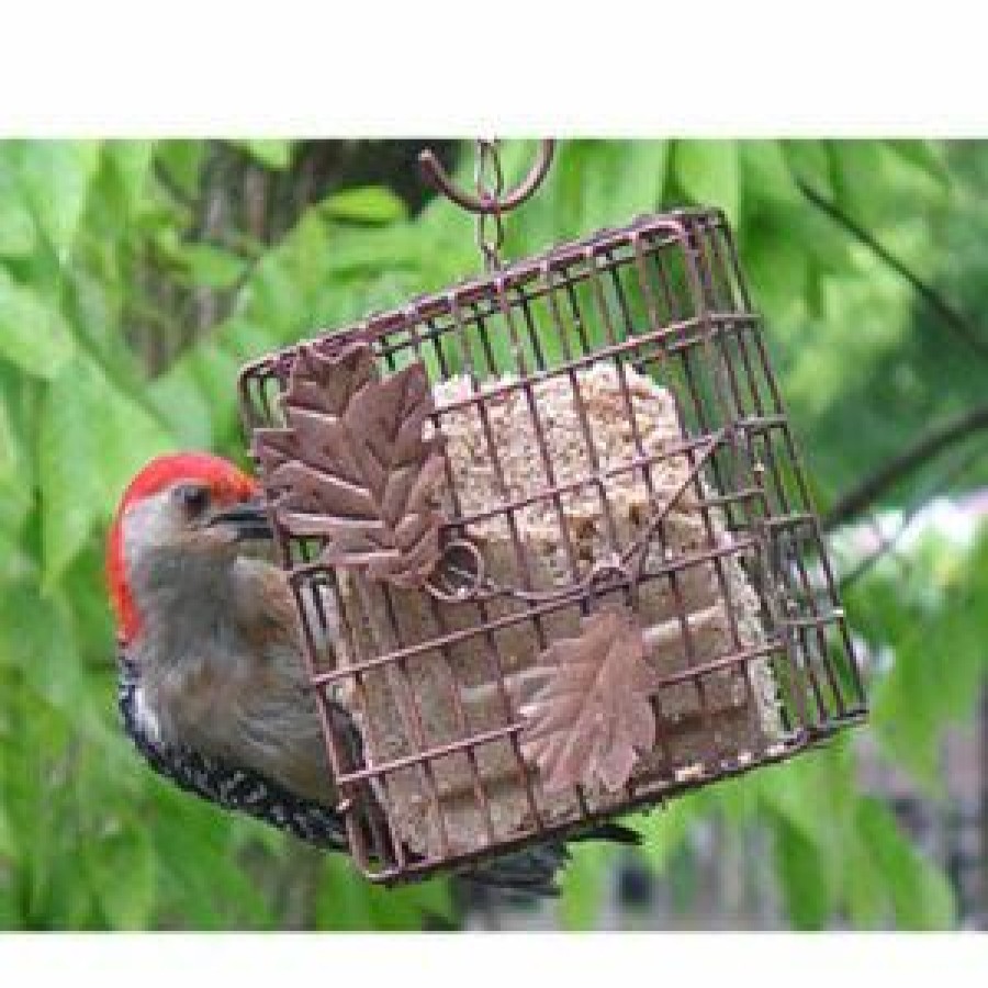 Backyard Birds & Wildlife * | Various Brands Heath Outdoor Products Oak Leaf Suet Feeder 2304 Wild Bird Feeders