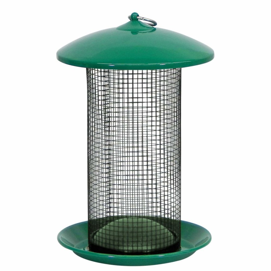 Backyard Birds & Wildlife * | More Birds Seed Screen Feeder 38175 Wild Bird Feeders