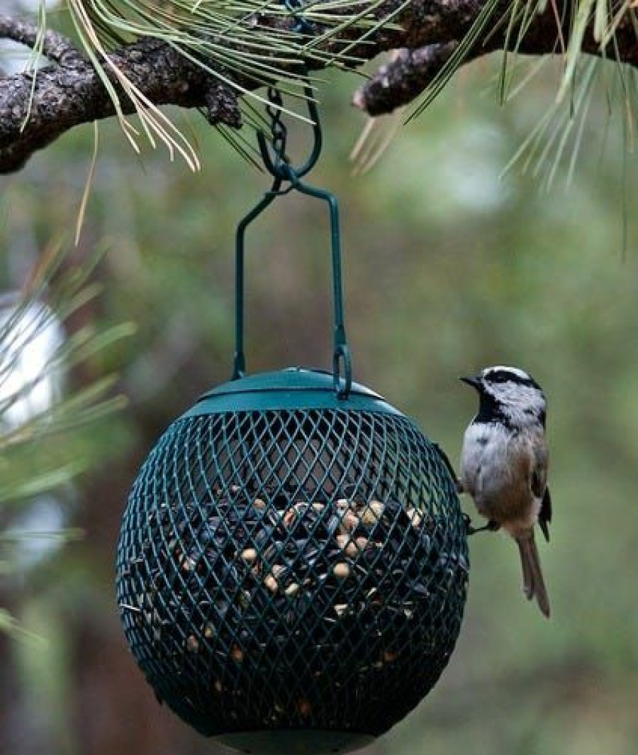 Backyard Birds & Wildlife * | Various Brands Green Bird Feeder Ball Gsb00344 Wild Bird Feeders