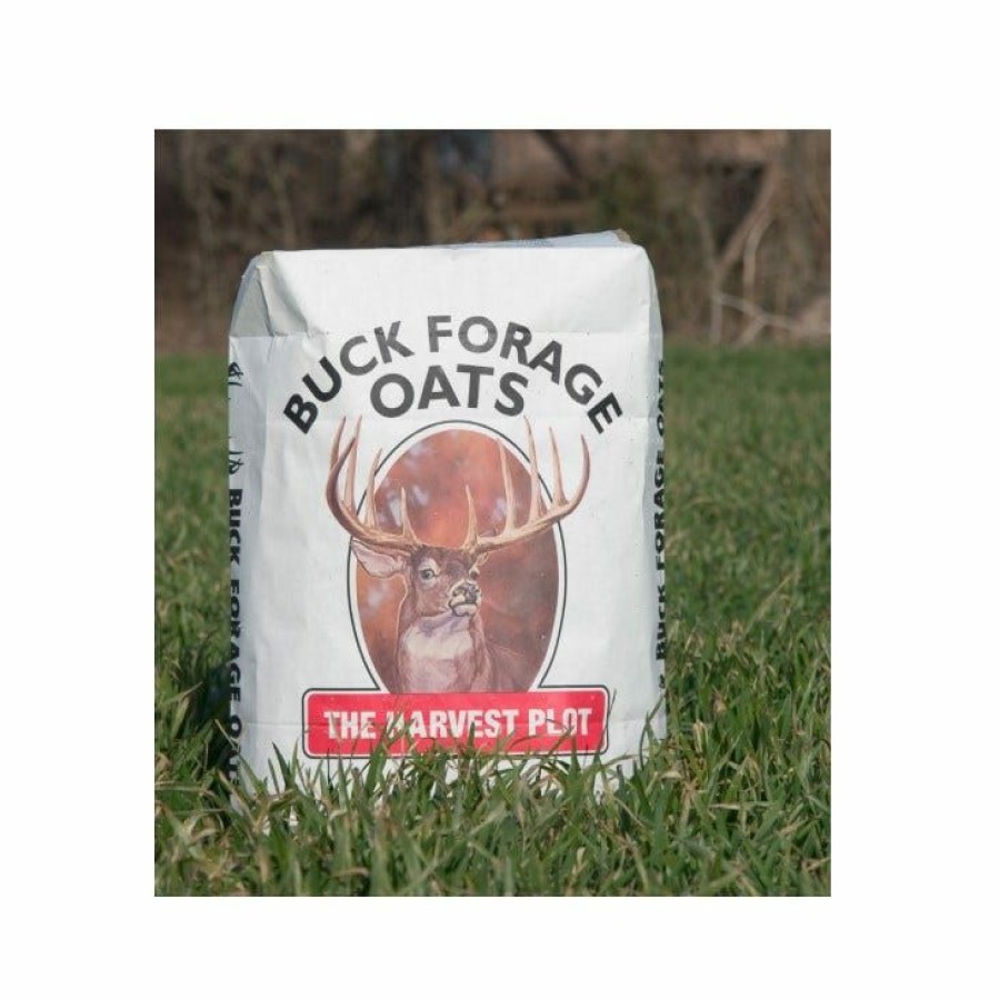 Backyard Birds & Wildlife * | Buck Forage Oats Seeds 50 Lbs. Bfoat50 Deer Feed