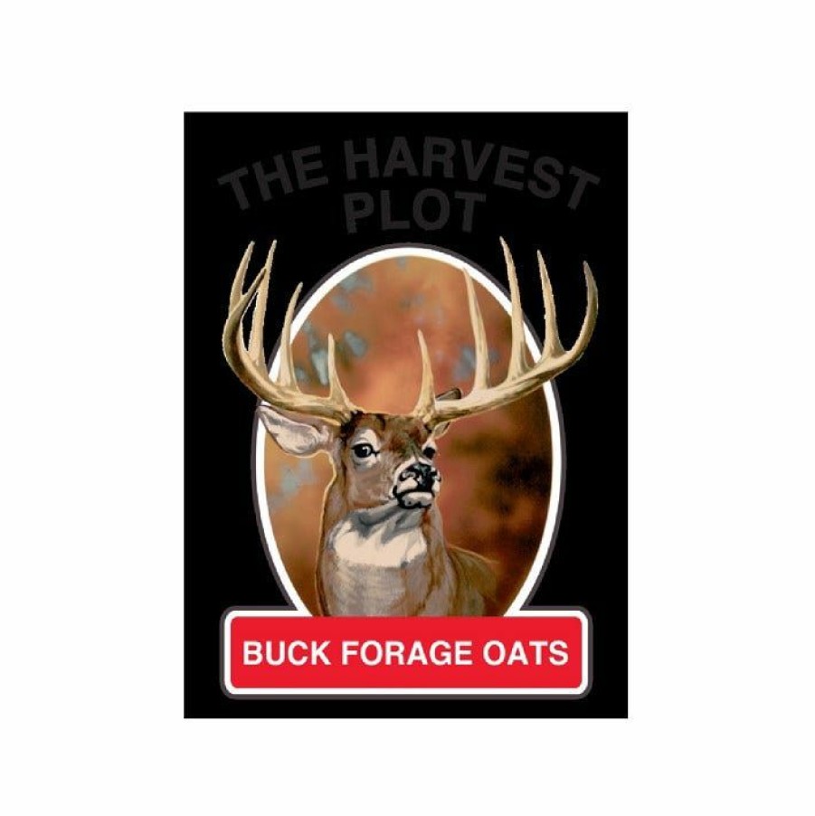 Backyard Birds & Wildlife * | Buck Forage Oats Seeds 50 Lbs. Bfoat50 Deer Feed